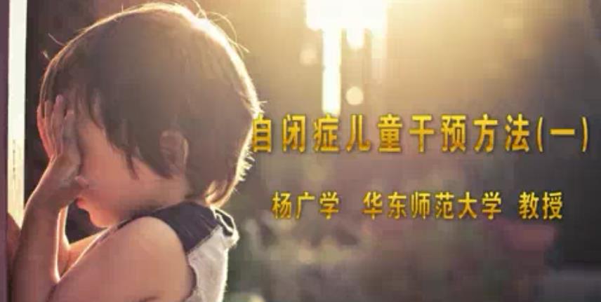 自闭症儿童干预方法视频教程 3讲 杨广学 华东师范大学